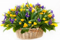Заказ цветов в Киеве с доставкой
